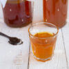 Kombucha starter