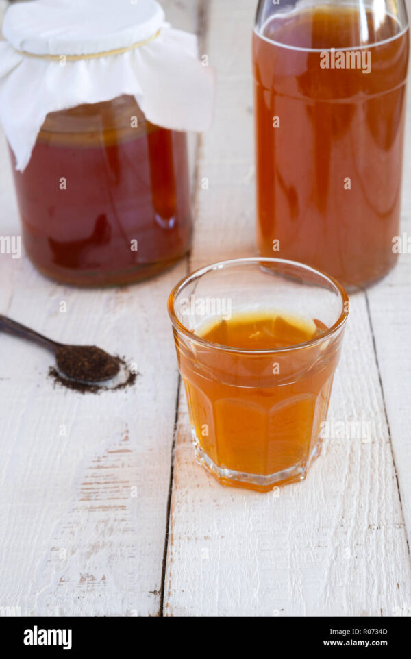 Kombucha starter