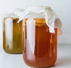 Kombucha starter
